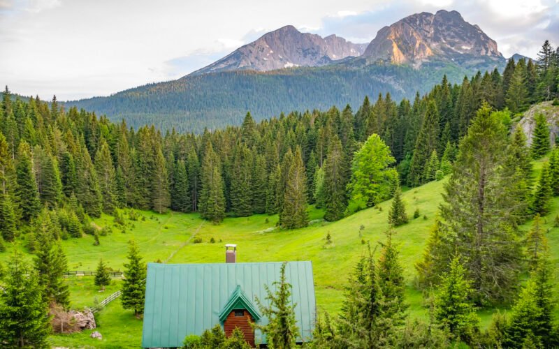 Екскурсія по каньйонах Чорногорії